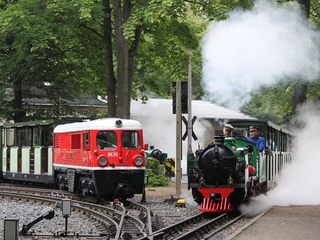 Dresdner Parkeisenbahn Eine rote Lok stößt Dampf aus im Großen Garten