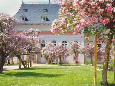 Veranstaltungen im Schlösserland Sachsen - Schloss und Park Pillnitz